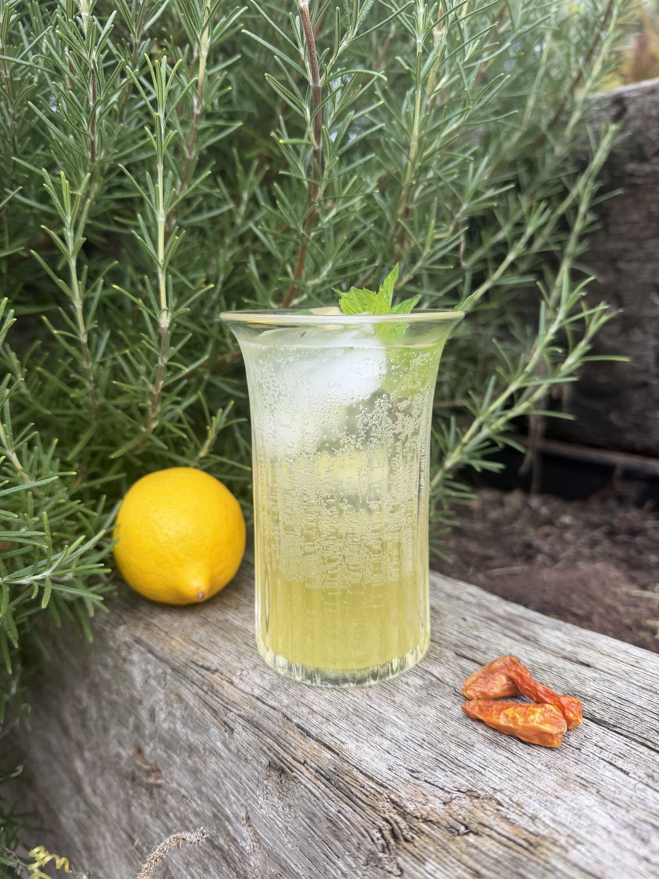 Schniffells lengthened with sparkling water in a tall glass over ice with mint, lemon and cayenne alongside
